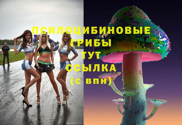 наркотики Няндома